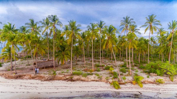 Stranden Kanga Mafia — Stockfoto