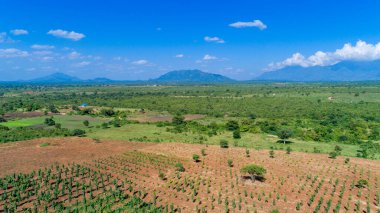 Morogoro kasabası Tanzanya 'nın uçsuz bucaksız yemyeşil otlakları ve tarım arazileri.
