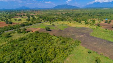 Morogoro kasabası Tanzanya 'nın uçsuz bucaksız yemyeşil otlakları ve tarım arazileri.