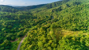 Morogoro kasabası Tanzanya 'nın uçsuz bucaksız yemyeşil otlakları ve tarım arazileri.