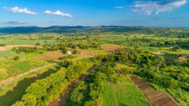 Morogoro kasabası Tanzanya 'nın uçsuz bucaksız yemyeşil otlakları ve tarım arazileri.