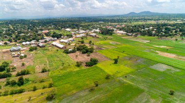 Morogoro kasabası Tanzanya 'nın uçsuz bucaksız yemyeşil otlakları ve tarım arazileri.