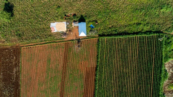 タンザニア モロゴロ町の無限の緑豊かな牧草地や農地の空中ビュー — ストック写真