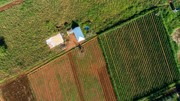 Vista Aérea Sinfín Exuberantes Pastos Tierras Cultivo Ciudad Morogoro Tanzania — Foto de Stock