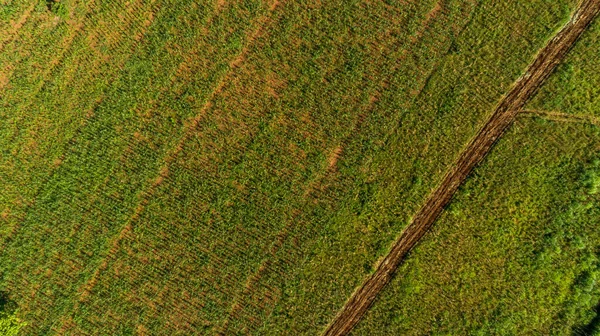 Αεροφωτογραφία Των Ατελείωτων Καταπράσινων Βοσκοτόπων Και Των Γεωργικών Εκτάσεων Της — Φωτογραφία Αρχείου