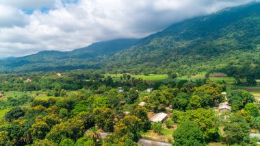 Morogoro kasabası Tanzanya 'nın uçsuz bucaksız yemyeşil otlakları ve tarım arazileri.