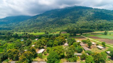 Morogoro kasabası Tanzanya 'nın uçsuz bucaksız yemyeşil otlakları ve tarım arazileri.