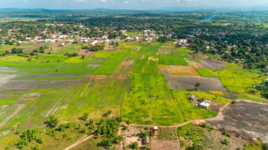 Morogoro kasabası Tanzanya 'nın uçsuz bucaksız yemyeşil otlakları ve tarım arazileri.