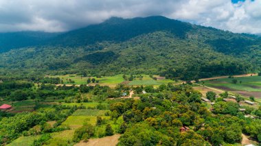 Morogoro kasabası Tanzanya 'nın uçsuz bucaksız yemyeşil otlakları ve tarım arazileri.