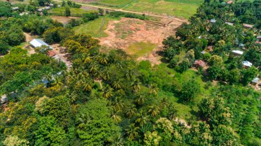 Morogoro kasabası Tanzanya 'nın uçsuz bucaksız yemyeşil otlakları ve tarım arazileri.