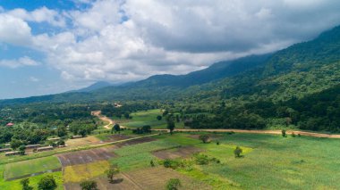 Morogoro kasabası Tanzanya 'nın uçsuz bucaksız yemyeşil otlakları ve tarım arazileri.
