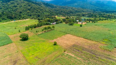 Morogoro kasabası Tanzanya 'nın uçsuz bucaksız yemyeşil otlakları ve tarım arazileri.