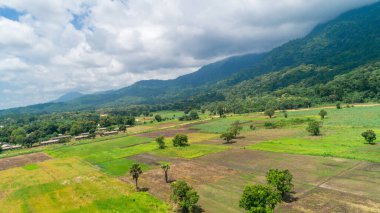 Morogoro kasabası Tanzanya 'nın uçsuz bucaksız yemyeşil otlakları ve tarım arazileri.
