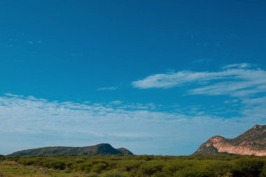 Afrika manzarası, Nairobi, Kenya