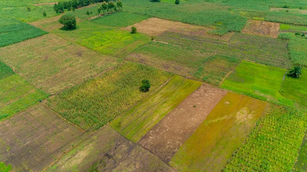 タンザニア モロゴロ町の無限の緑豊かな牧草地や農地の空中ビュー — ストック写真