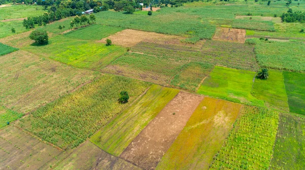 タンザニア モロゴロ町の無限の緑豊かな牧草地や農地の空中ビュー — ストック写真