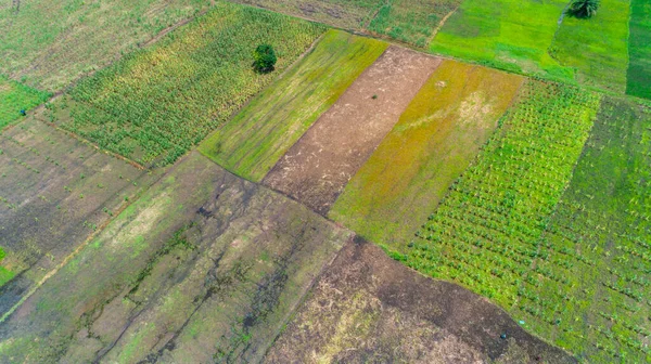 Vista Aérea Pastagens Exuberantes Intermináveis Terras Agrícolas Cidade Morogoro Tanzânia — Fotografia de Stock