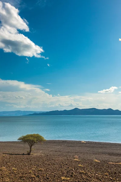 Turkanasjön Permanent Öken Sjön — Stockfoto