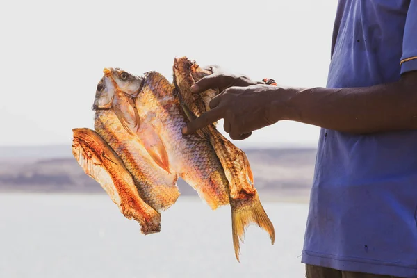 Rybaka Suszone Ryby Jeziora Turkana — Zdjęcie stockowe