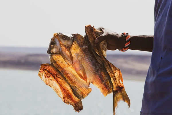 Visser Met Gedroogde Vis Uit Het Turkanameer — Stockfoto