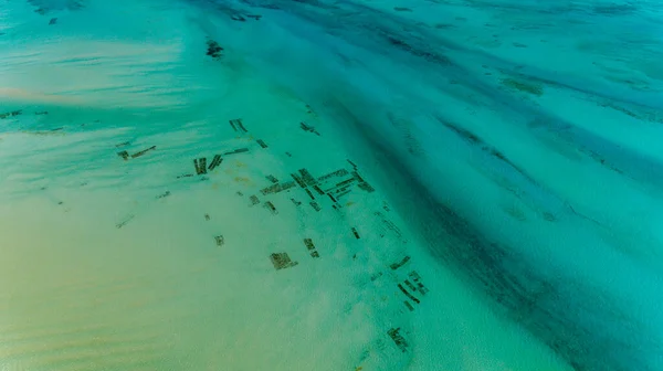 Plantação Ervas Daninhas Mar Zanzibar — Fotografia de Stock