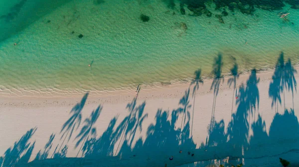 Dłoń Drzewa Cieniu Góry Plaży Zanzibar — Zdjęcie stockowe