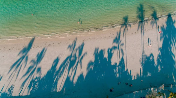 Palm Trees Shadown Beach Zanzibar — Stock Photo, Image