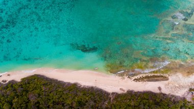 Pungume Adası Zanzibar '