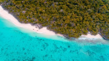 Pungume Adası Zanzibar '