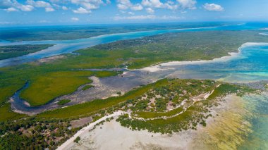 ungujaa kuu, Zanzibar, havadan görünümü