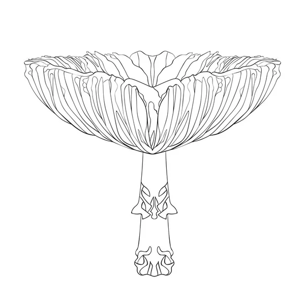 Μια Διακοσμητική Ασπρόμαυρη Απεικόνιση Του Fly Amanita Art Deco Στυλ — Διανυσματικό Αρχείο