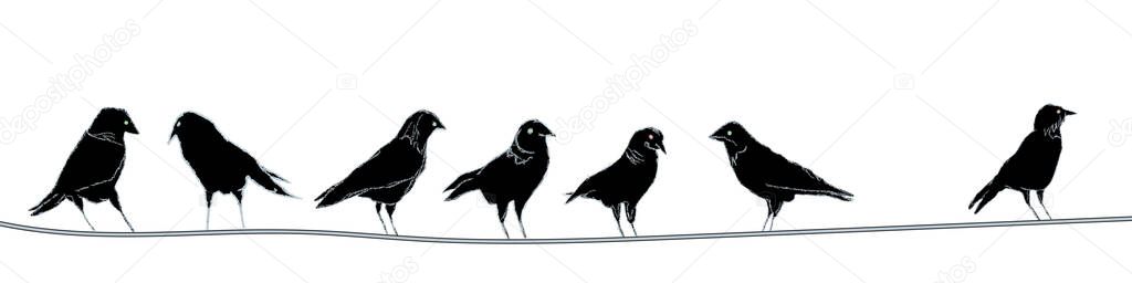 Jackdaws on wire. Hand drawn vector illustration.