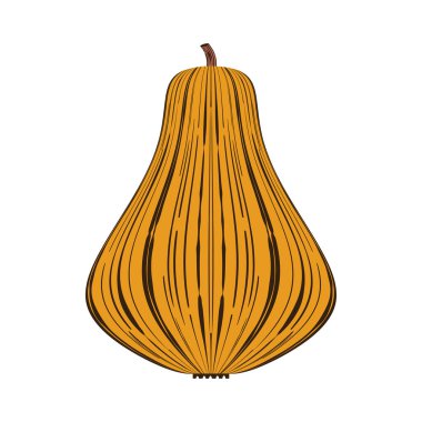 Armut - el çizimi vektör çizimi beyaza izole edildi. Düz renk tasarımı.