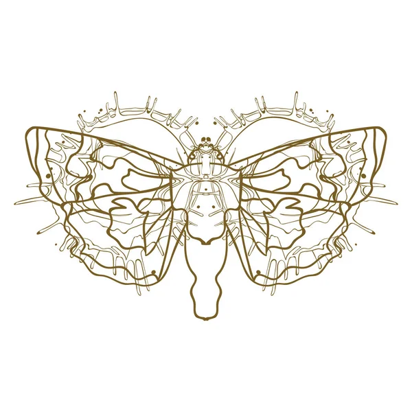 Mariposa Nocturna Ilustración Vectorial Línea Arte Aislada Blanco — Archivo Imágenes Vectoriales