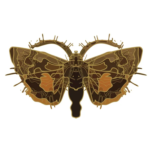 Mariposa Nocturna Ilustración Vectorial Aislada Blanco — Archivo Imágenes Vectoriales