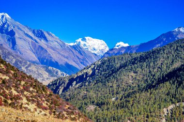 Manang Nepal 'de kar dağlı manzara
