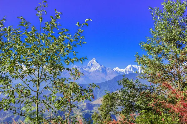 Landscape Clean Nature Pokhara Nepal — Stock Photo, Image