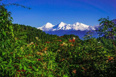 Kar dağlı güzel doğa manzarası