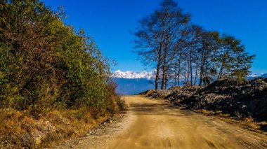 Orman ve karlı dağ manzarası.