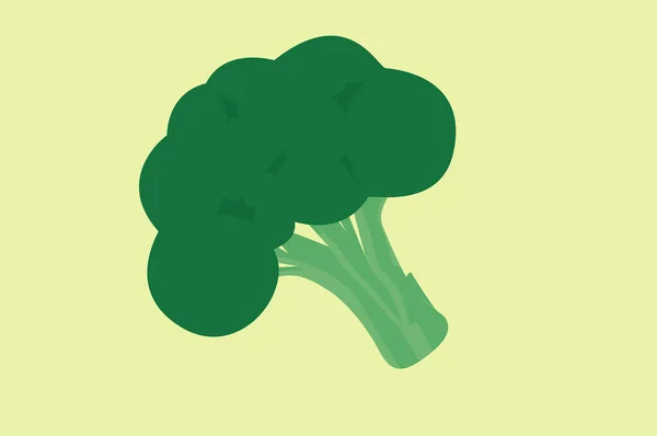 Brokoli Nin Zole Edilmiş Vektörü — Stok Vektör