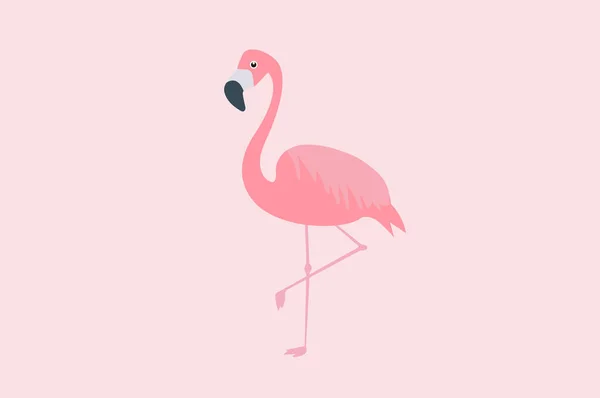 Izolowana Ilustracja Wektora Różowego Flamingo — Wektor stockowy