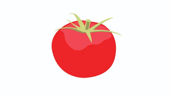 Vektor Isolierte Illustration Einer Tomate — Stockvektor