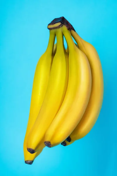 Perfektně vypadající hromada banánů na modrém pozadí — Stock fotografie