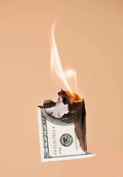 Brændende hundrede dollars kontant på fersken baggrund - Stock-foto