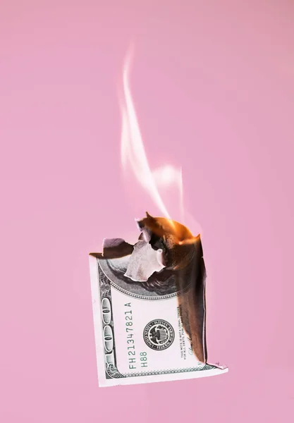 Queima de cem dólares em dinheiro em fundo rosa — Fotografia de Stock