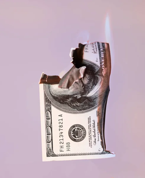 Spalování sto dolarů v hotovosti na růžovém pozadí — Stock fotografie