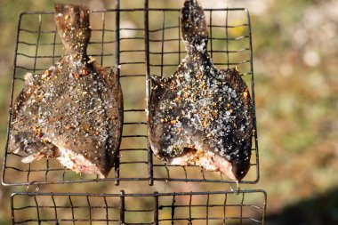 Izgara balık pisi balığı portatif ızgarada yatıyor. Açık havada yemek, doğada akşam yemeği.