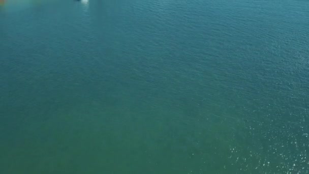 Sydney opera house vista aérea desde el helicóptero — Vídeo de stock