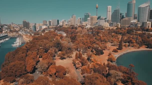 Sydney όπερας κεραία θέα από το ελικόπτερο — Αρχείο Βίντεο