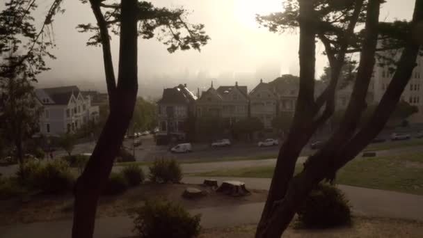 View of the world famous painted ladies located in alamo square san francisco — Stock video